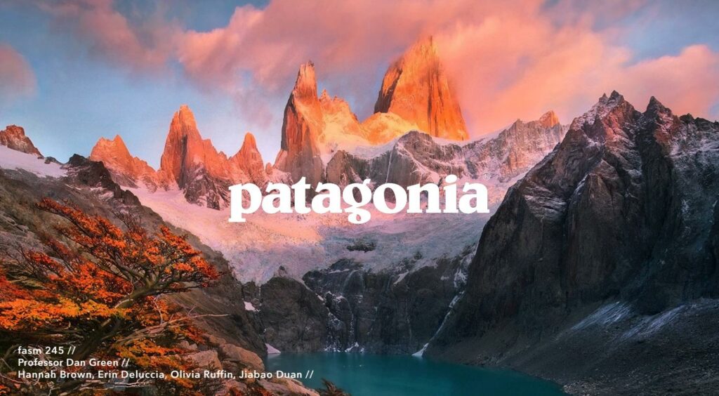 Nordic Retail News - Patagonia 